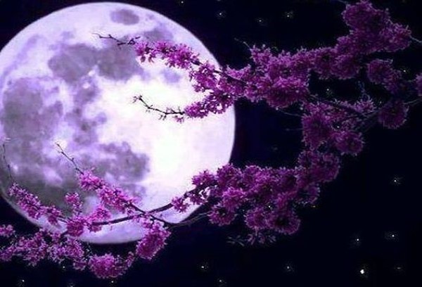 Απόψε το βράδυ στον ουρανό το «Φεγγάρι της Φράουλας»